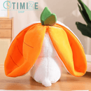 Coelho Teobaldo - Dê vida a Páscoa